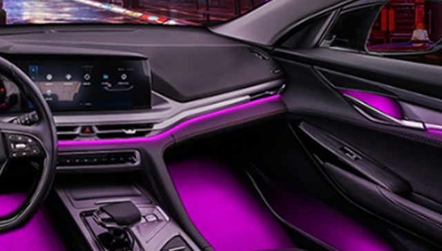 2. The case of automotive light guide strip.jpg